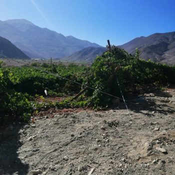 Proyecto de Análisis Estructural de Predios caídos en Fundo Lautaro y Soluciones Futuras